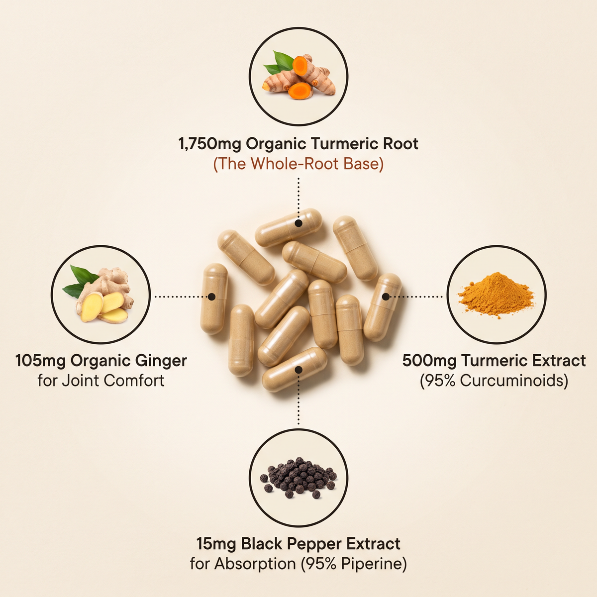 Vessia Organic Turmeric Curcumin with Ginger